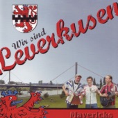 Leverkusen artwork