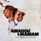 Dougou Badia (feat. Santigold) [King Coya Remix] - Amadou & Mariam lyrics