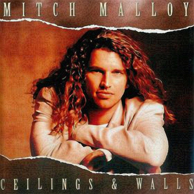 MITCH MALLOY,ミッチ・マロイ,DVD, DENANDER MITCH MALLOY,ミッチ・マロイ,DVD,TOMMY DENANDERアウトレッ