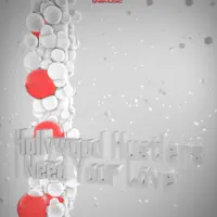 I Need Your Love — Hollywood Hustlers