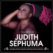 The Best of Judith Sephuma artwork