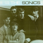 The Sonics - Do You Love Me