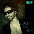 Catch The Fox