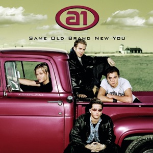 Same Old Brand New You - Single