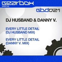 Every Little Detail - Single - DJ Husband & Danny V.