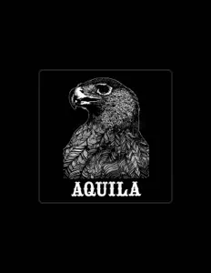 收听 Aquila、观看音乐视频、阅读小传、查看巡演日期等 ！