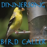 Dave Kliman - American Goldfinch Bird Caller