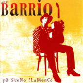 Yo Sueno Flamenco - El Barrio