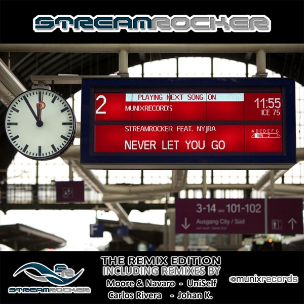 Never Let You Go (The Remix Edition) [Remixes] [feat. Nyjra]