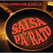 Salsa Pa Rato artwork