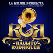 Raulito Rodriguez Y Su Bachata Banda - La Mujer Perfecta