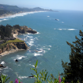 Hypnosis - Weight Loss - Single