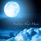 Relaxing Piano Music - Luna Meadow lyrics