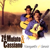 Navegante Das Gerais artwork