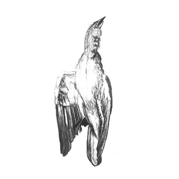 Palliards - EP