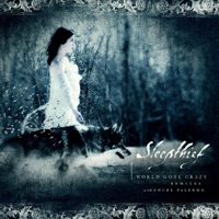 World Gone Crazy: Remixes (feat. Coury Palermo) - Sleepthief