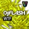Wtf - DJ Flash lyrics