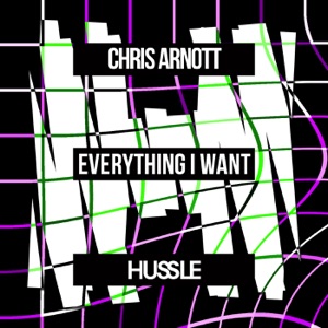 Everything I Want - Single