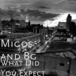 What Did You Expect - Single - Migos What Did You Expect - Single - Migos