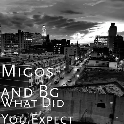What Did You Expect - Single - Migos