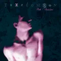 Toreador del Amor