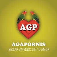 Seguir Viviendo Sin Tu Amor - Single - Agapornis