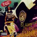 Blame It On the Funk