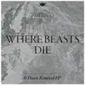 Where Beasts Die (Kiyoko Remix)
