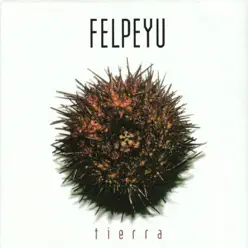 Tierra - Felpeyu