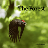 The Forest - Henk Meeuwsen