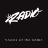 Voices Of The Radio, 2013