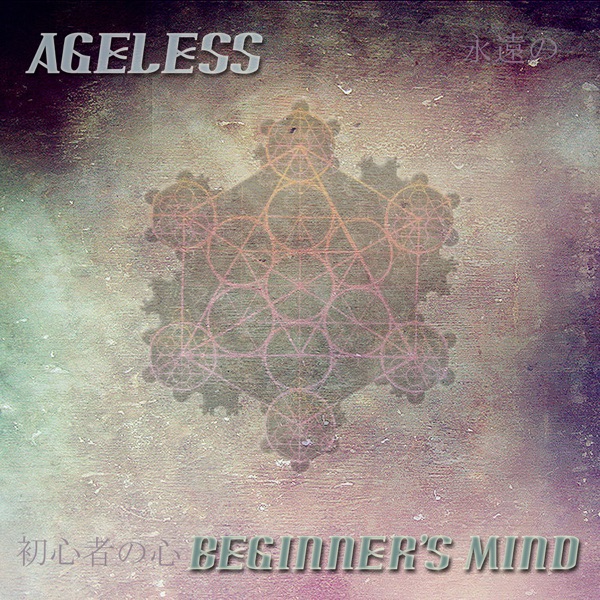 Beginner's Mind