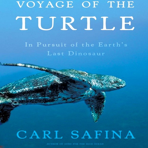 Voyage of the Turtle (Unabridged) cover