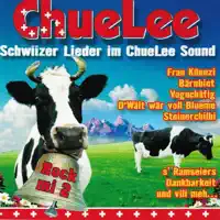 Kiosk (with Die jungen Zillertaler) — ChueLee