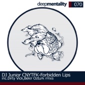 Forbidden Lips (Original Mix) artwork