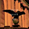 Never Leave Me