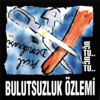 Bulutsuzluk &Ouml;zlemi - U&ccedil;tu U&ccedil;tu artwork