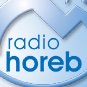 Radio Horeb, Weltkirche aktuell