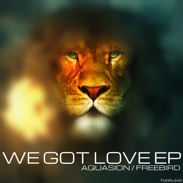 We Got Love - Single