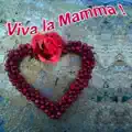 Viva La Mamma