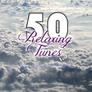 50 Relaxing Tunes, Vol. 2 (Music for Relaxation of Body and Mind)