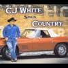 C J White - You Win Again