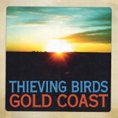 Thieving Birds - Black Canyon Boom