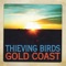 In the Summer - Thieving Birds lyrics