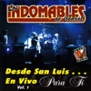 Desde San Luis... En Vivo para Ti, Vol. 1