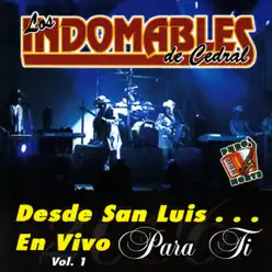 Desde San Luis... En Vivo para Ti, Vol. 1 - Los Indomables de Cedral Desde San Luis... En Vivo para Ti, Vol. 1 - Los Indomables de Cedral