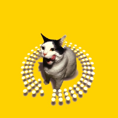 TWIST This Pussy (feat. Peter Rauhofer)