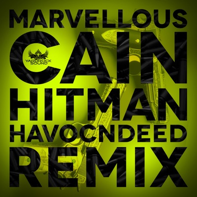 The HitMan (HavocNdeeD Remix) - Single