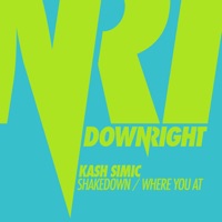 Shakedown / Where You At - Single - Kash Simic