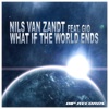 What If the World Ends (feat. Gio) [Remixes]